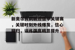 爱游戏体育-新奥尔良鹈鹕迎德甲关键赛，关键时刻外线爆发，信心回归，训练强度明显提升的简单介绍
